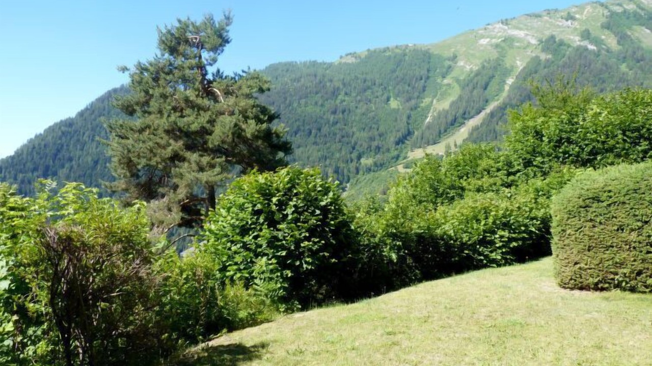 Photo of Others in Ovronnaz