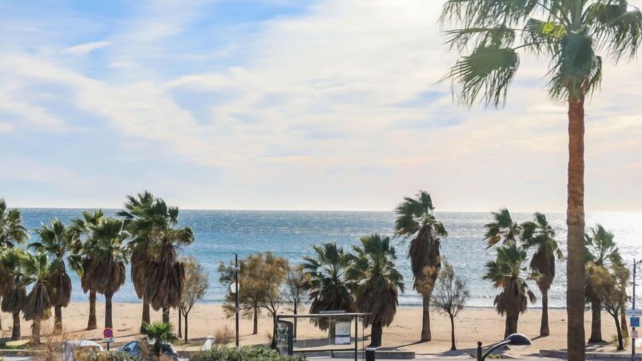 Photo of Others in Frejus Port