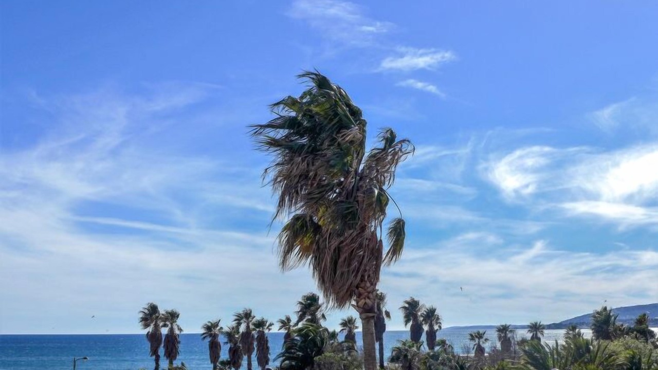 Photo of Outdoor in Frejus Port