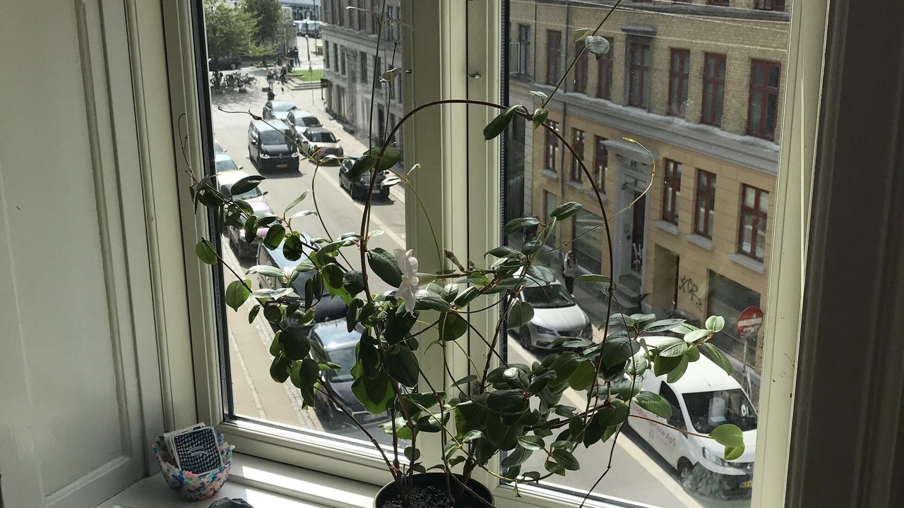 Photo of Others in København V