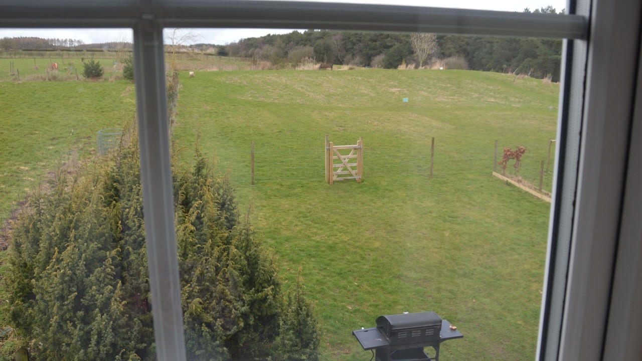 Photo of Outdoor in Pickering