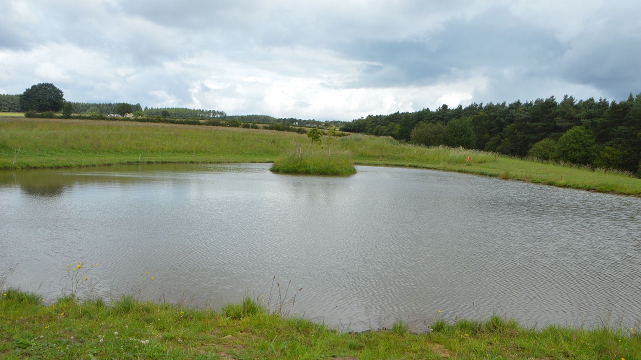 Photo of Others in Pickering