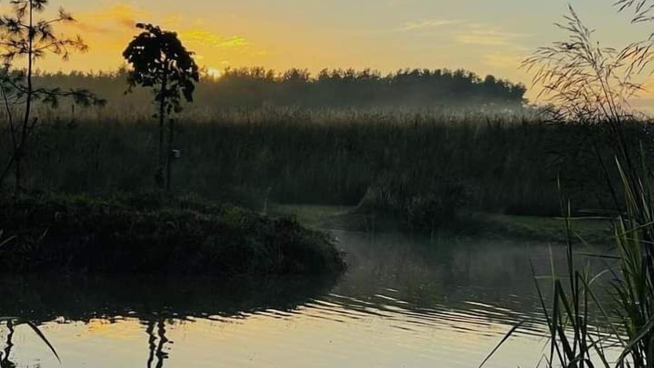 Photo of Others in Pickering