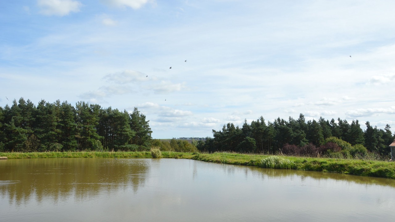 Photo of Others in Pickering