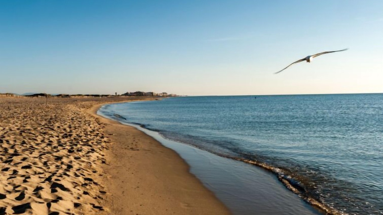 Photo of Others in La Jetee