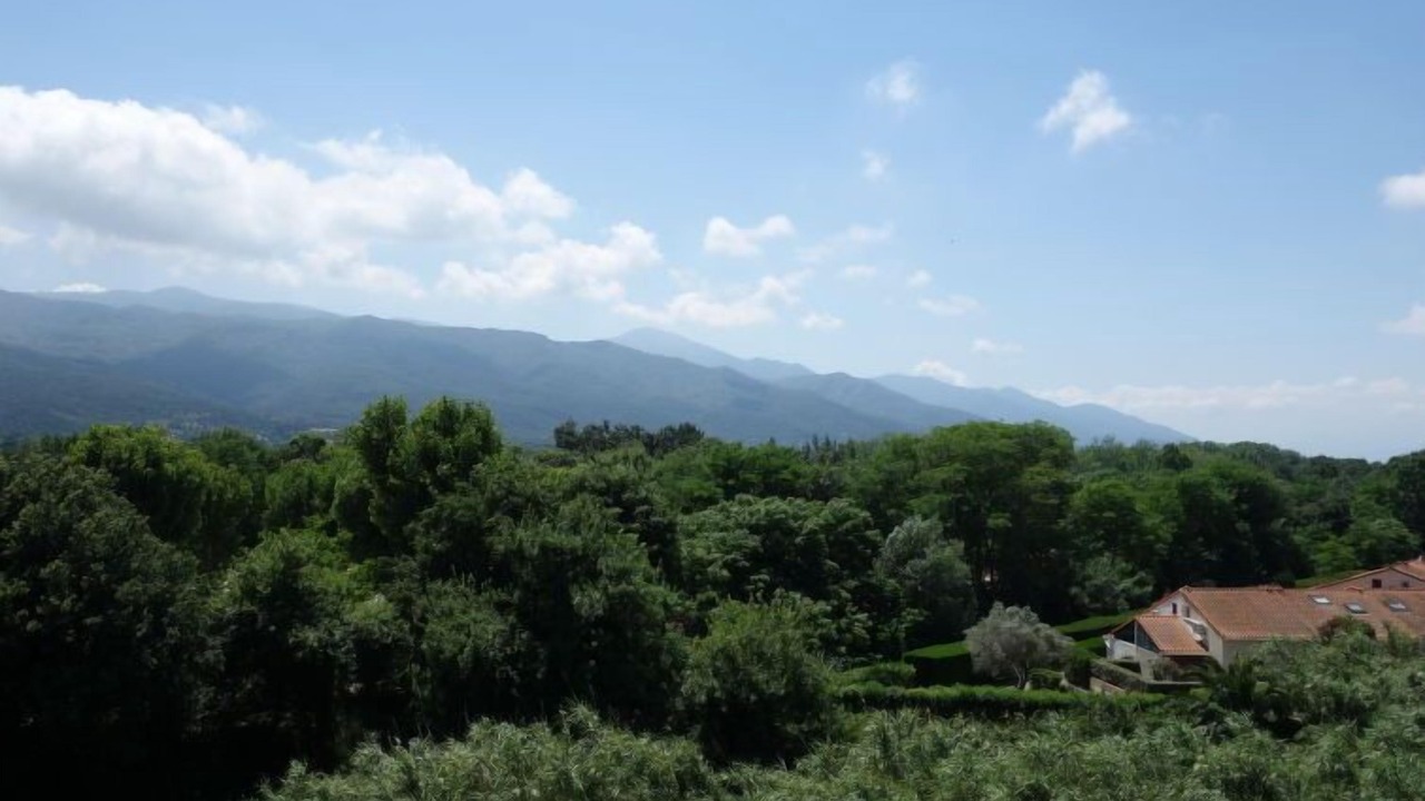 Photo of Others in Plage d'Argeles