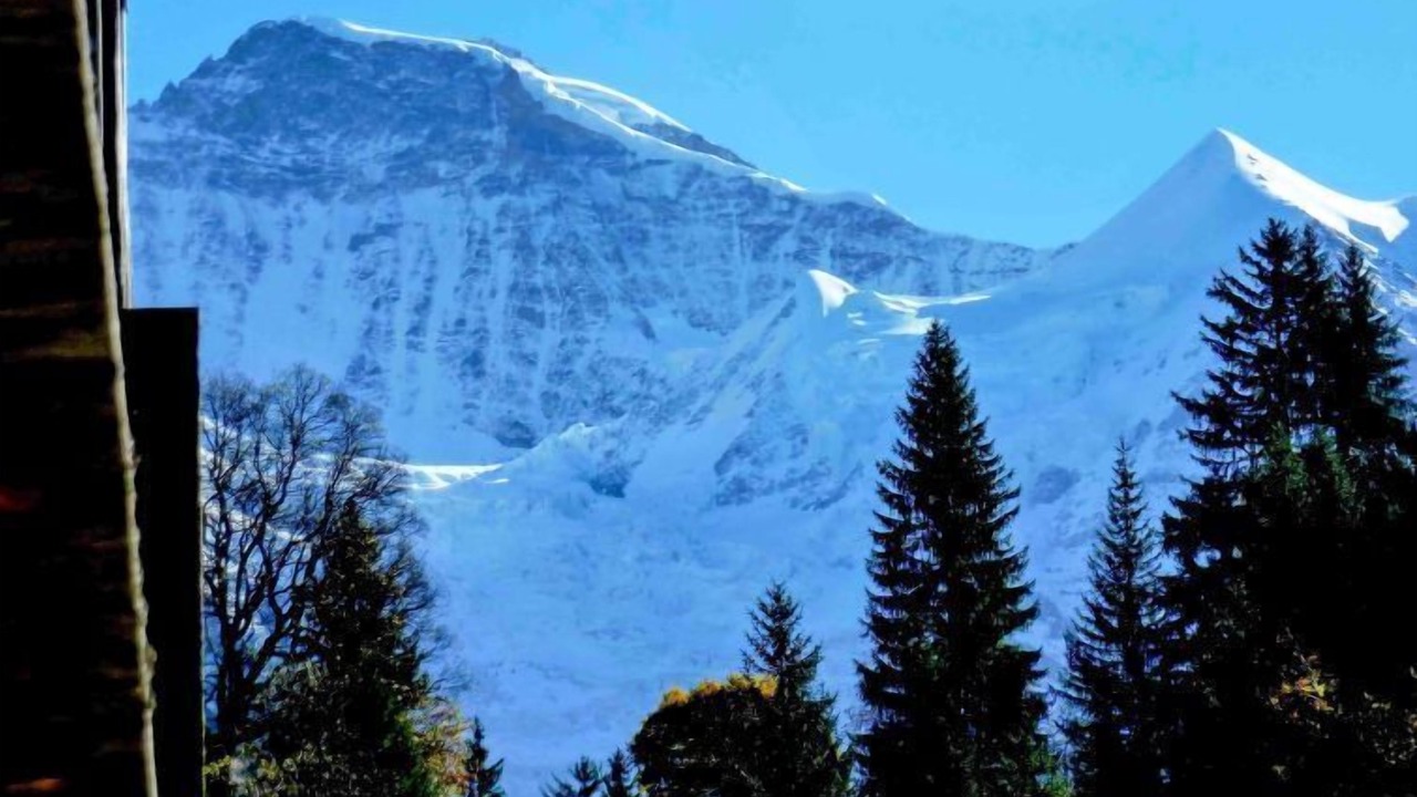 Photo of Others in Wengen