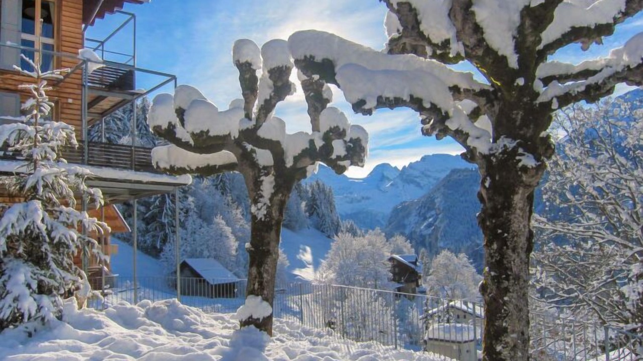 Photo of Others in Wengen