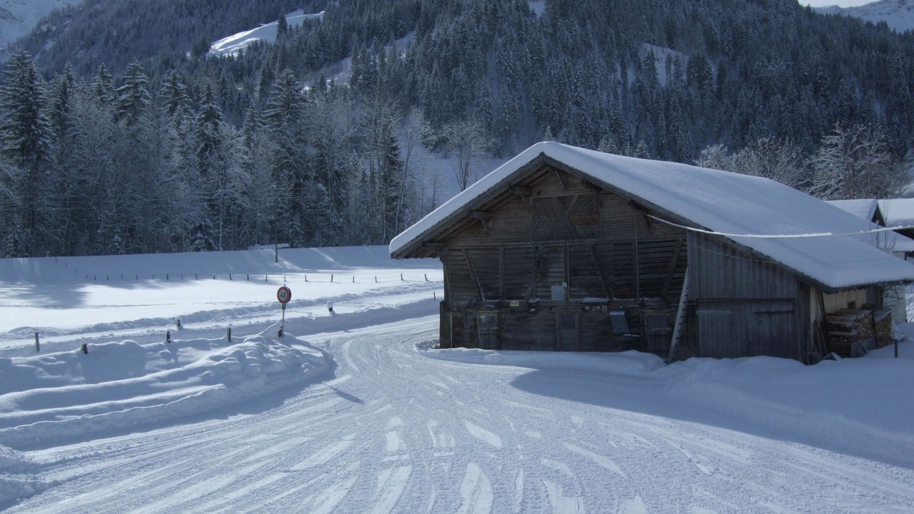 Photo of Others in Lenk