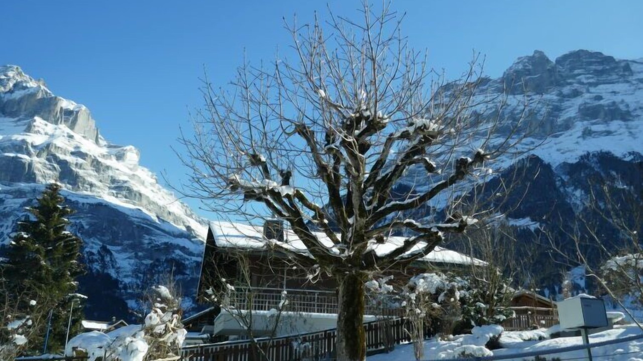 Photo of Others in Grindelwald