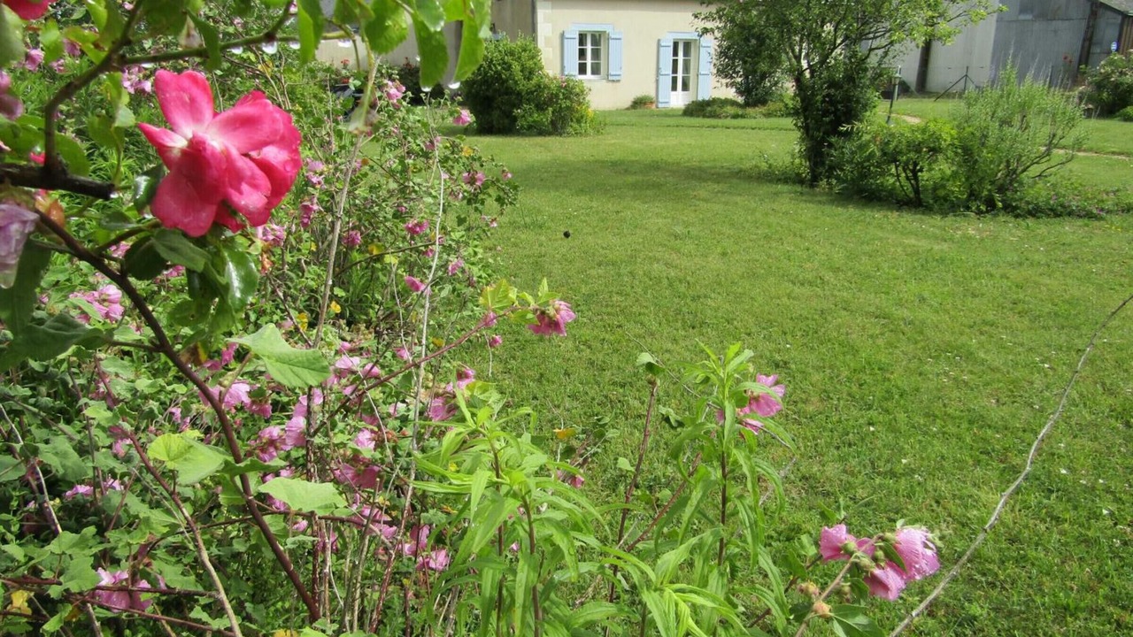 Photo of Outdoor in Channay-sur-Lathan