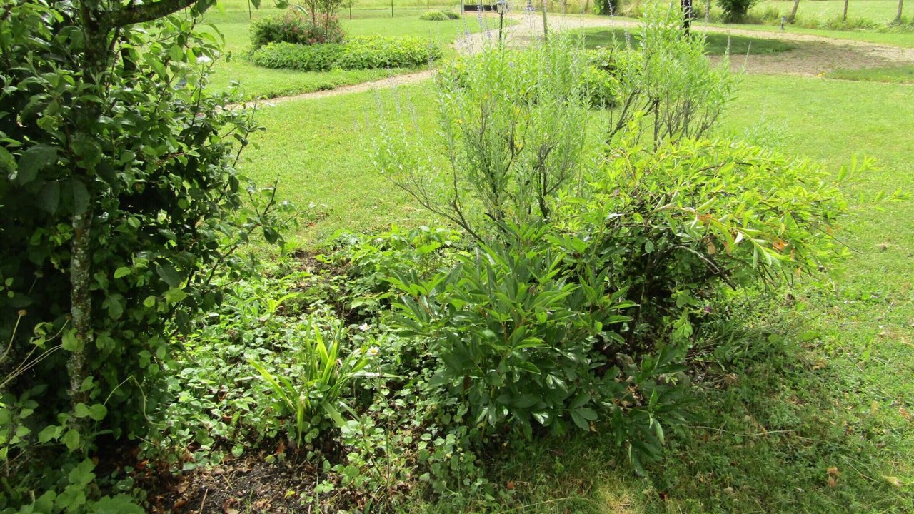 Photo of Outdoor in Channay-sur-Lathan