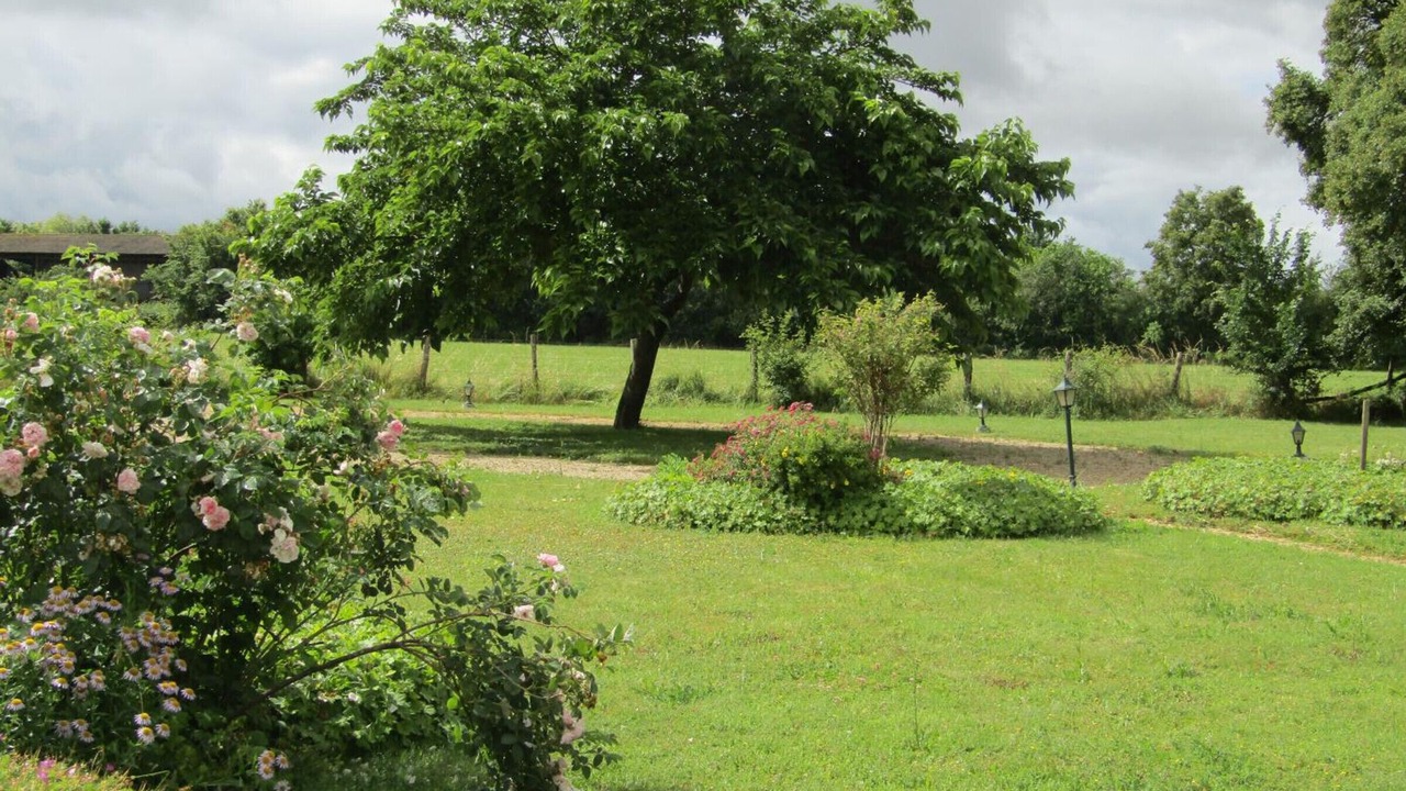 Photo of Outdoor in Channay-sur-Lathan