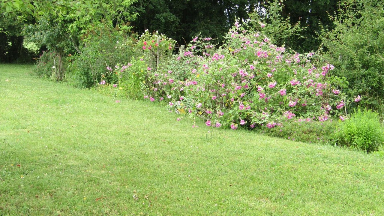 Photo of Outdoor in Channay-sur-Lathan