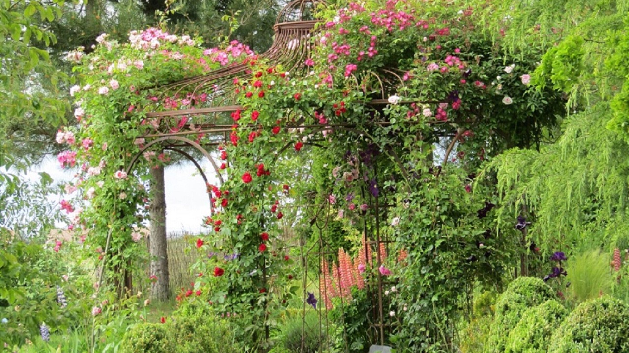 Photo of Outdoor in Channay-sur-Lathan