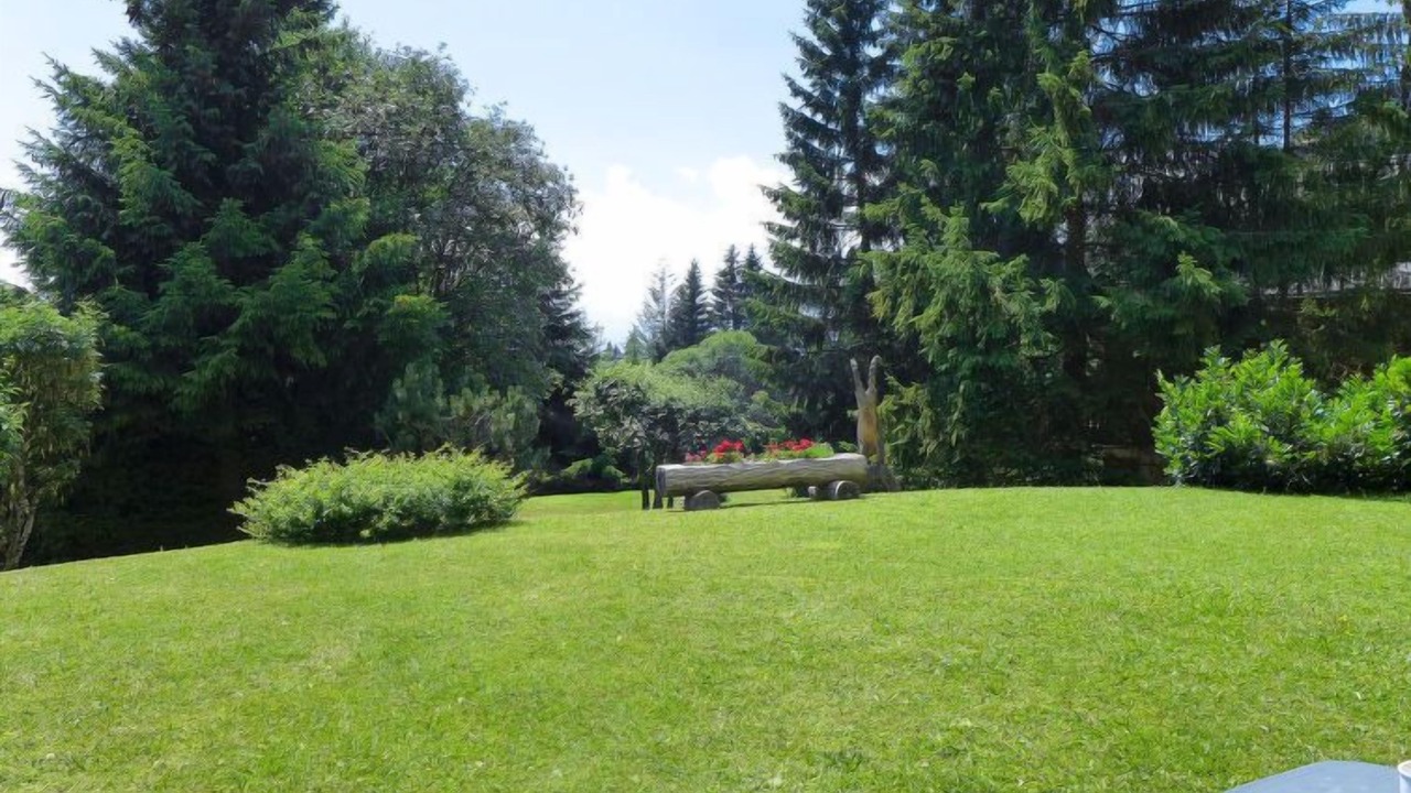 Photo of Others in Villars-sur-Ollon