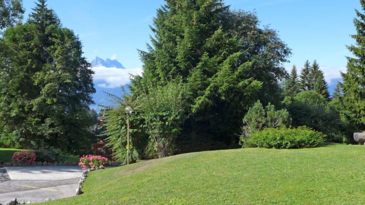 Photo of Others in Villars-sur-Ollon