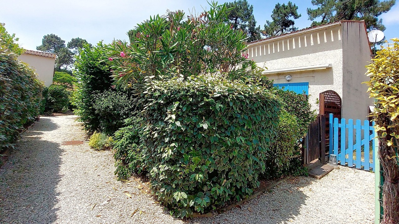 Photo of Others in Saint-Georges-de-Didonne