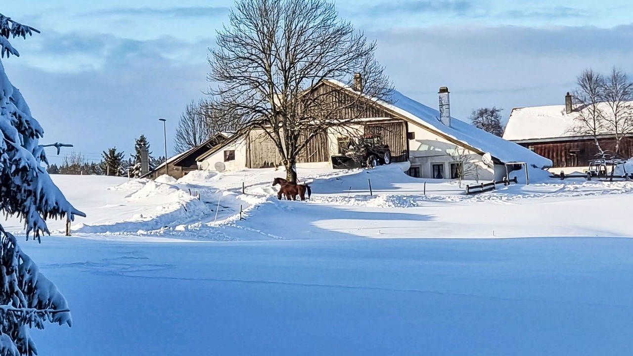 Photo of Others in Auberson
