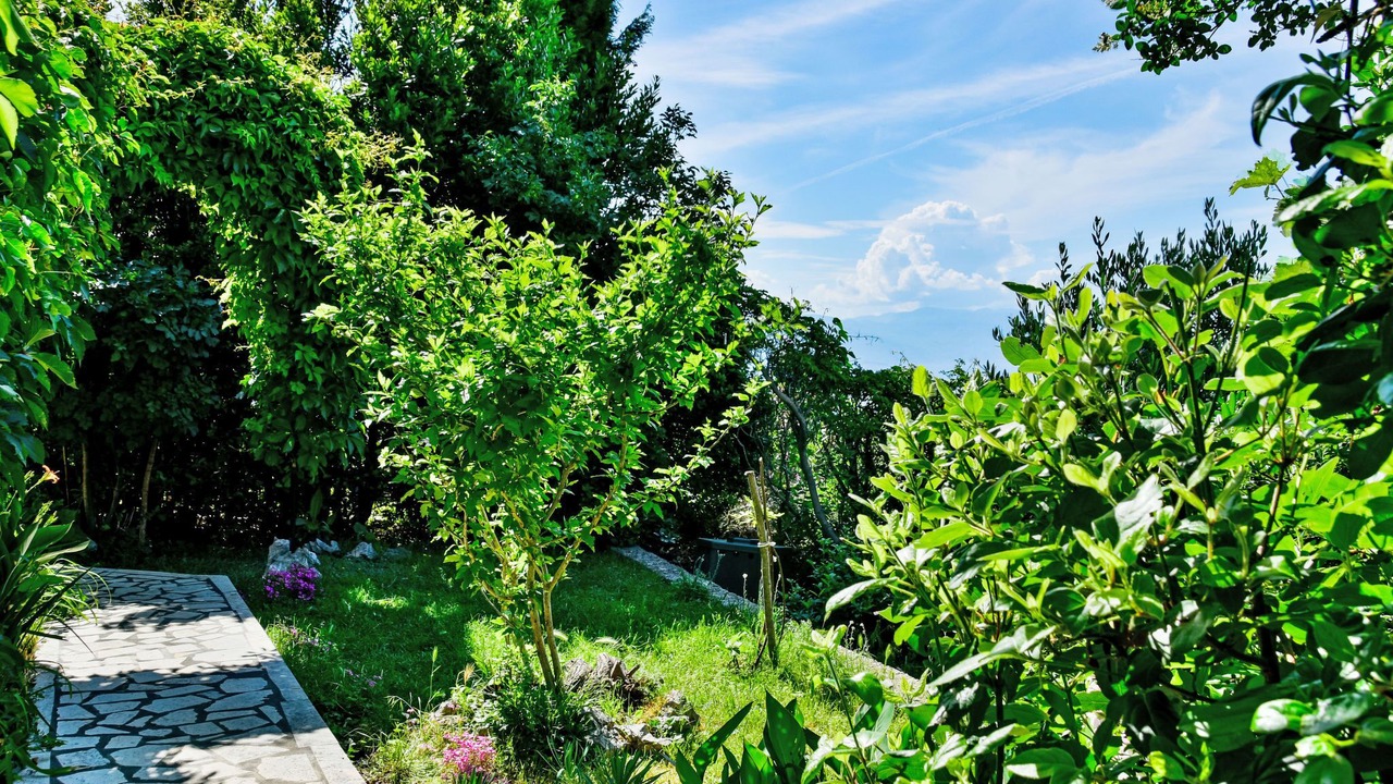 Photo of Others in Novi Vinodolski
