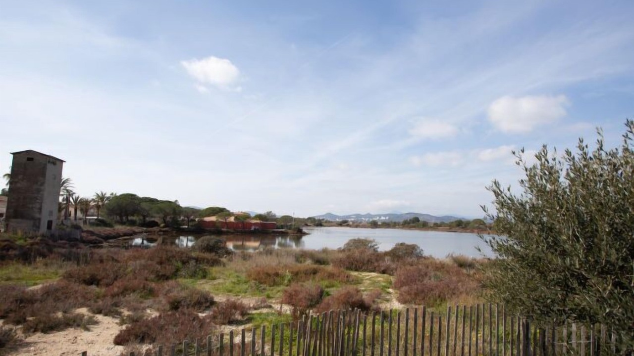 Photo of Others in Hyeres