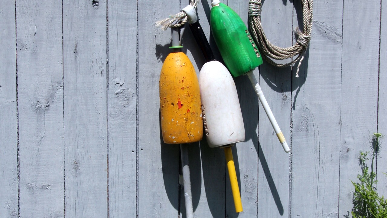 Photo of Others in Boothbay Harbor