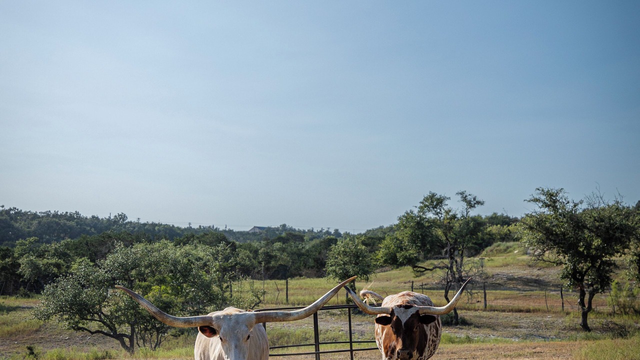 Photo of Others in Dripping Springs