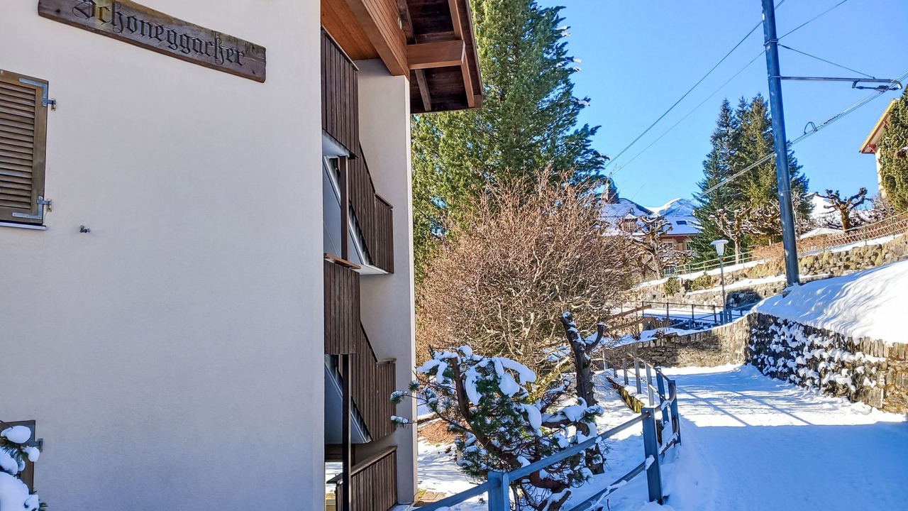 Photo of Others in Wengen