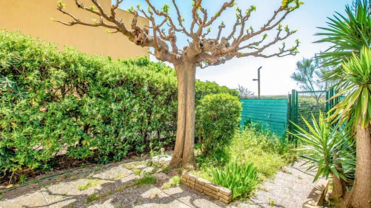 Photo of Others in Cap d'Agde