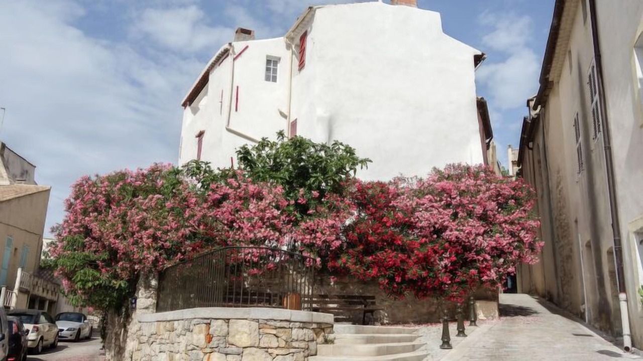 Photo of Others in La Cadiere-d'Azur