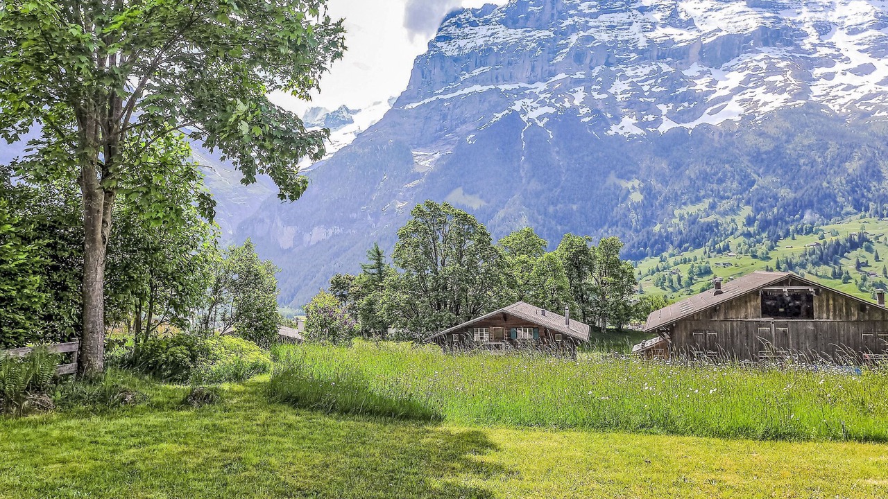 Photo of Others in Grindelwald