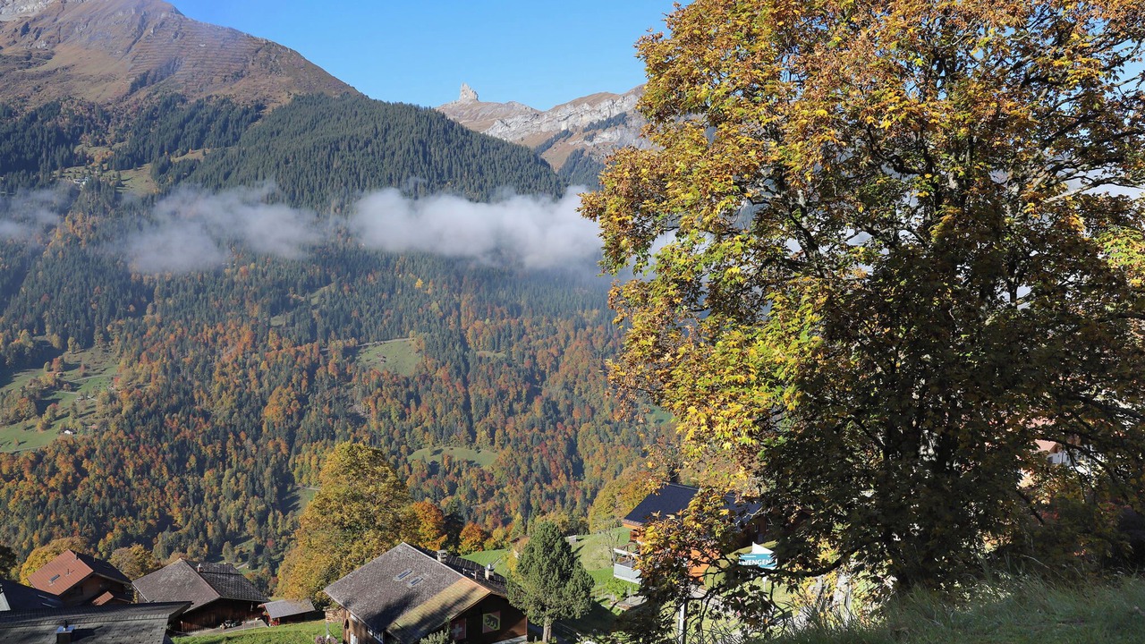 Photo of Others in Wengen