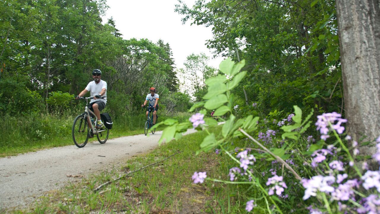 Photo of Others in Collingwood