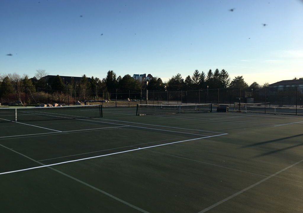 Photo of Others in Collingwood