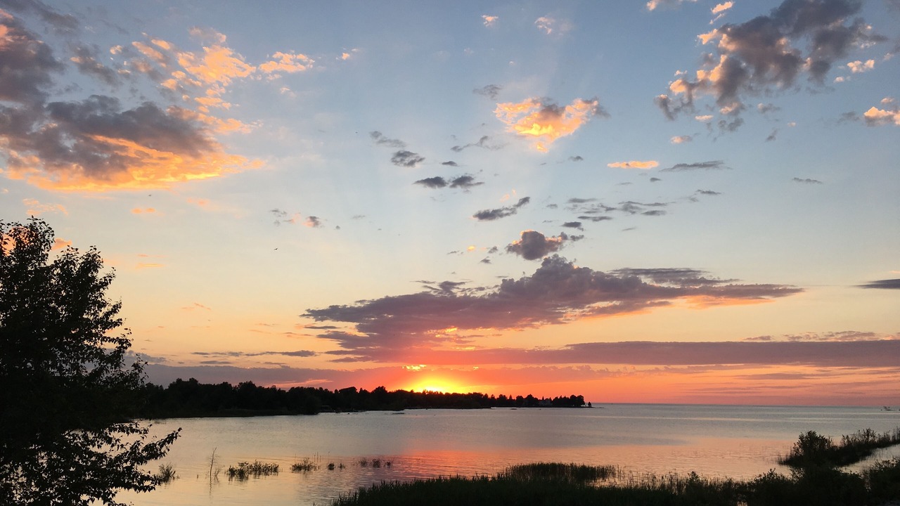 Photo of Others in Collingwood