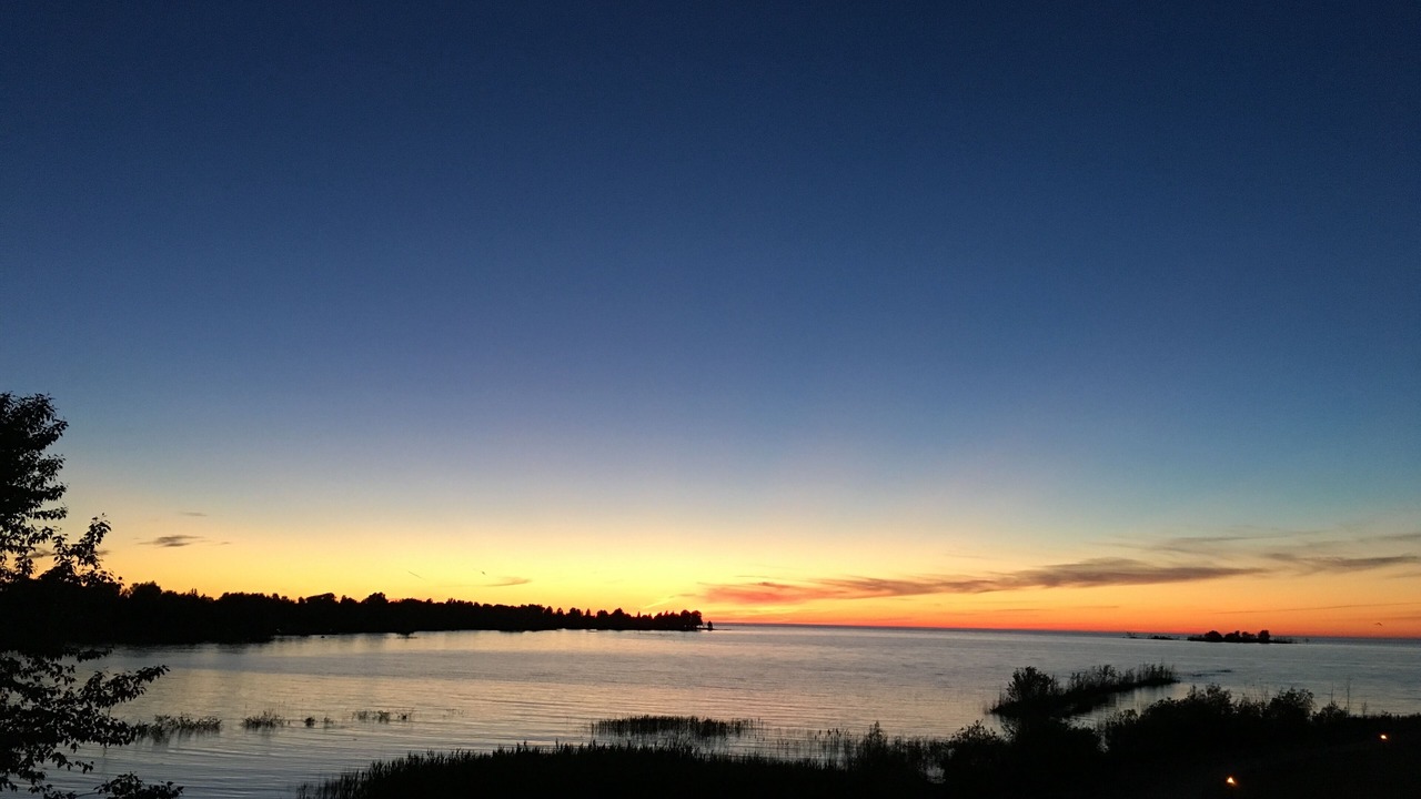 Photo of Others in Collingwood