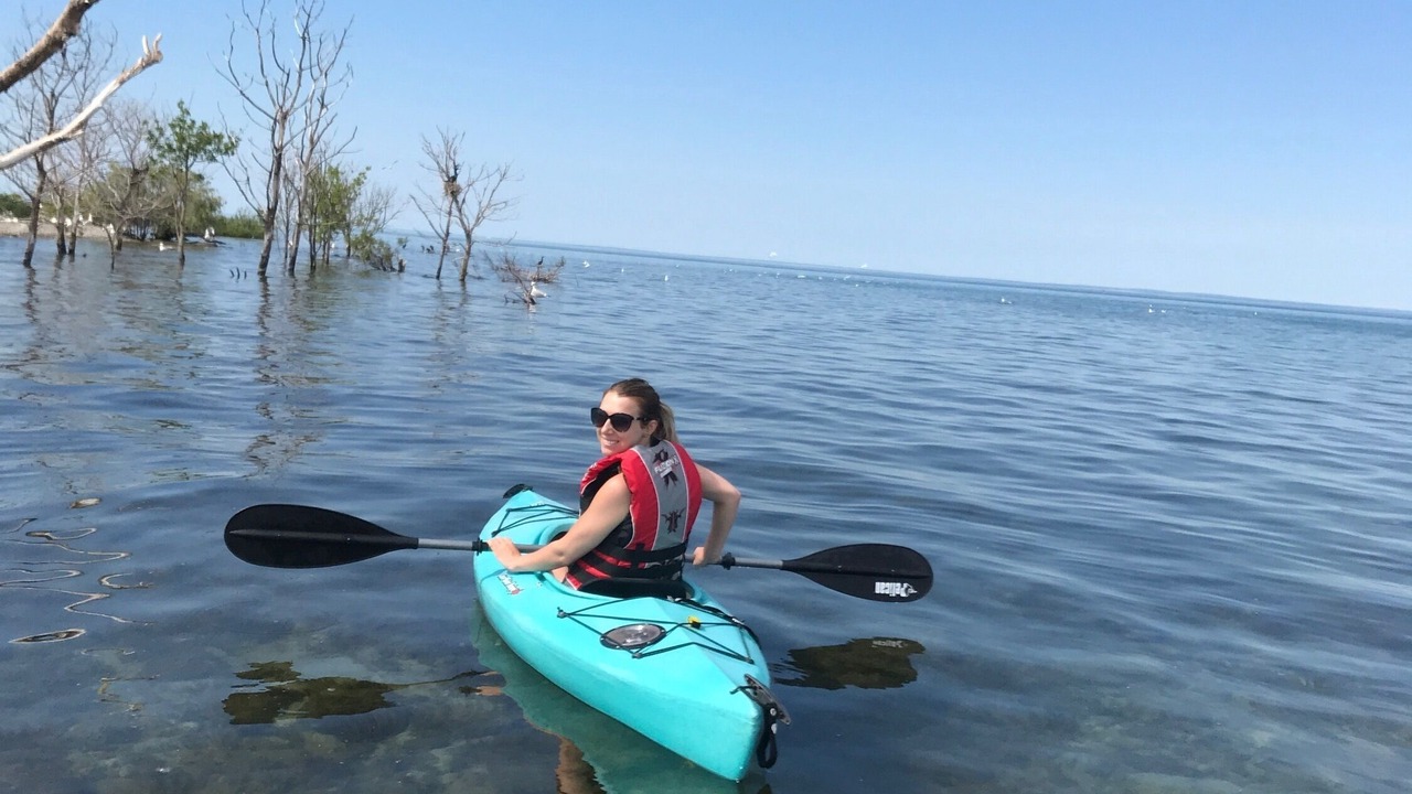 Photo of Others in Collingwood