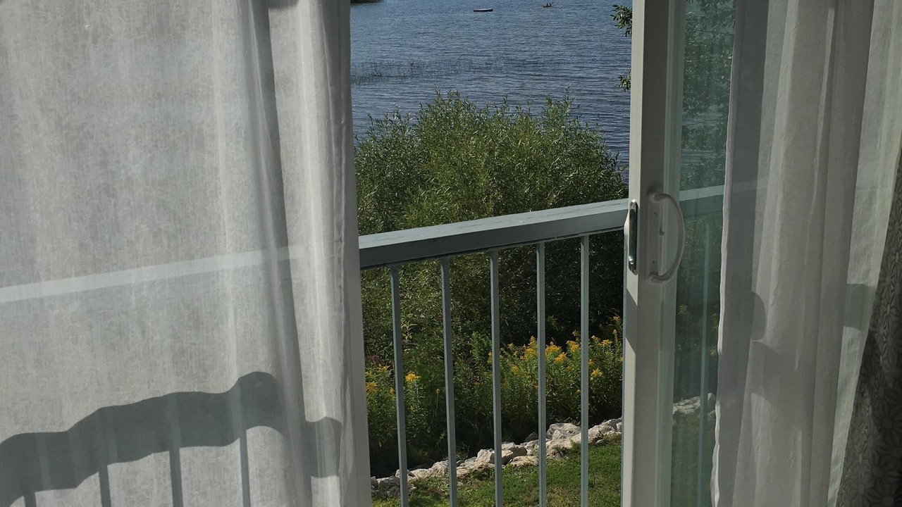 Photo of Others in Collingwood