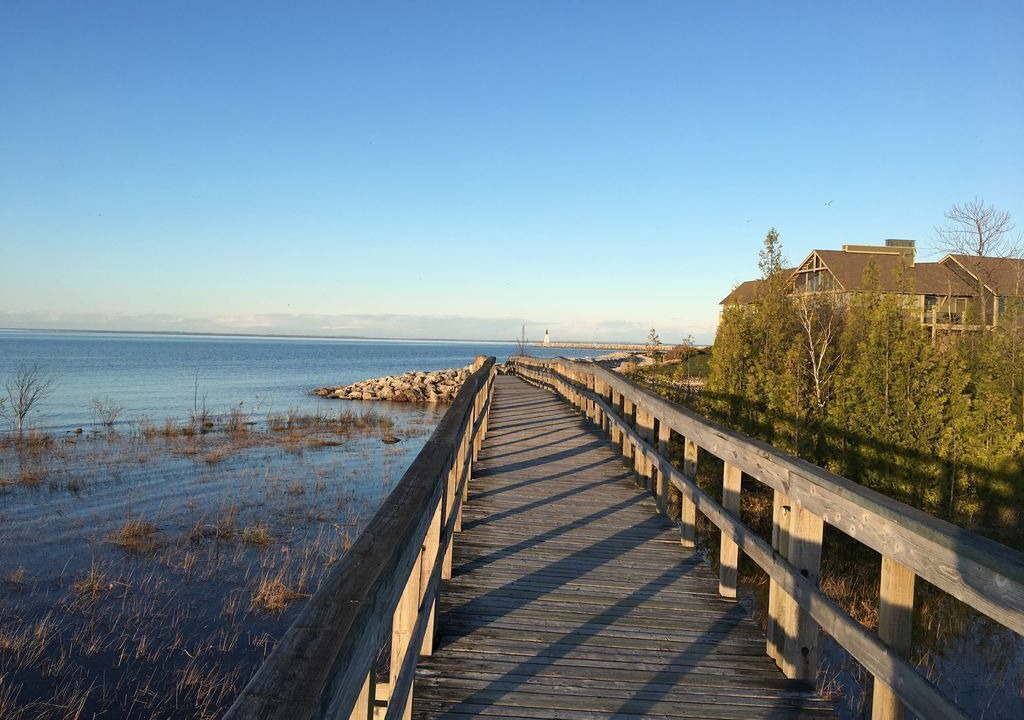 Photo of Others in Collingwood