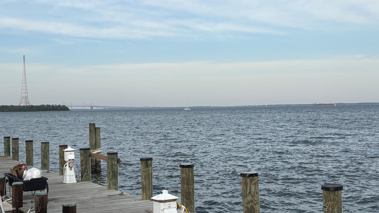 Photo of Others in Eastport