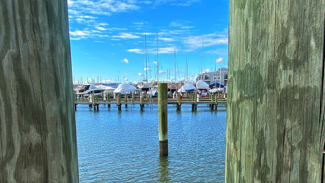 Photo of Others in Eastport