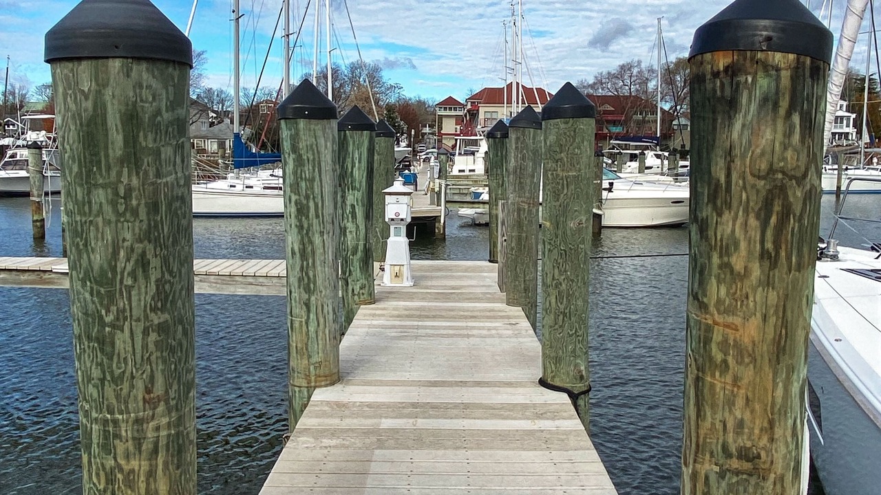 Photo of Others in Eastport