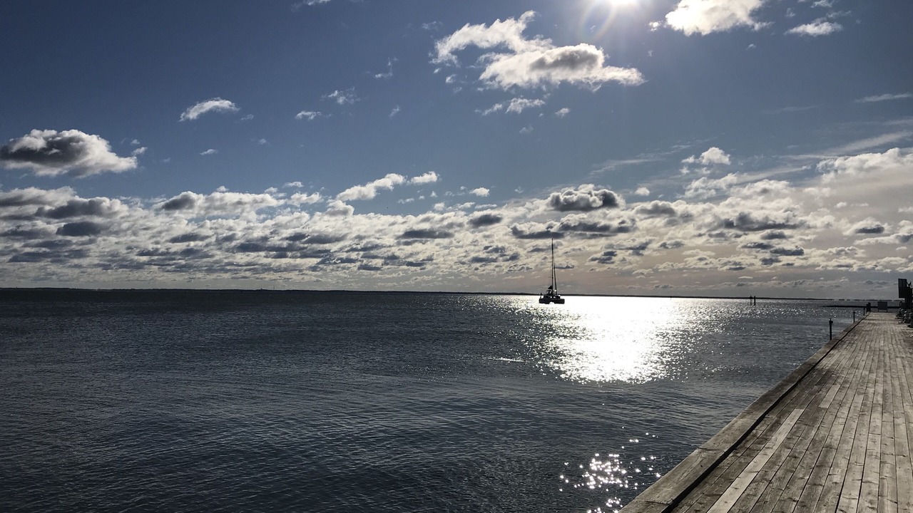 Photo of Others in Eastport