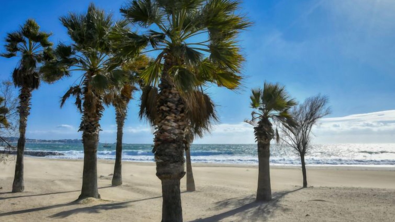 Photo of Others in Frejus Plage