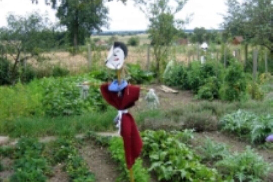 Photo of Outdoor in Azay-le-Ferron