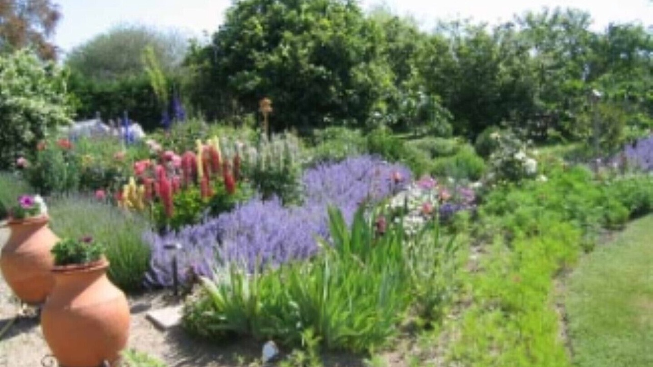 Photo of Outdoor in Azay-le-Ferron