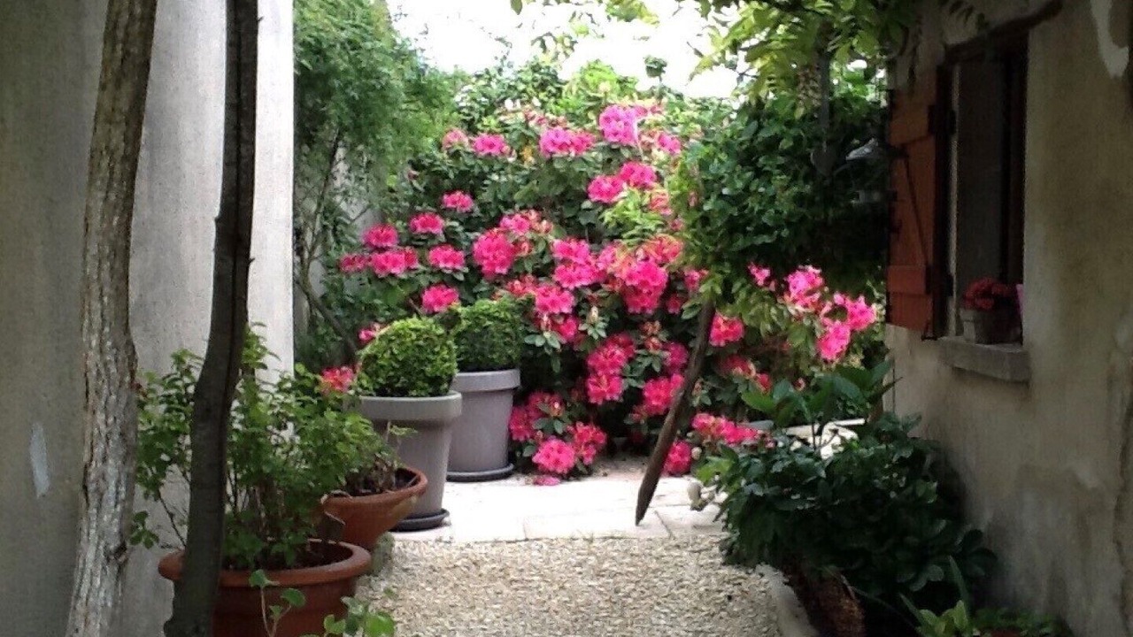 Photo of Outdoor in Azay-le-Ferron