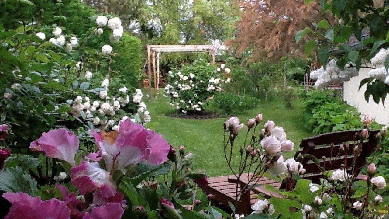 Photo of Outdoor in Azay-le-Ferron