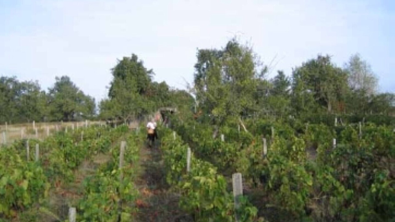 Photo of Outdoor in Azay-le-Ferron