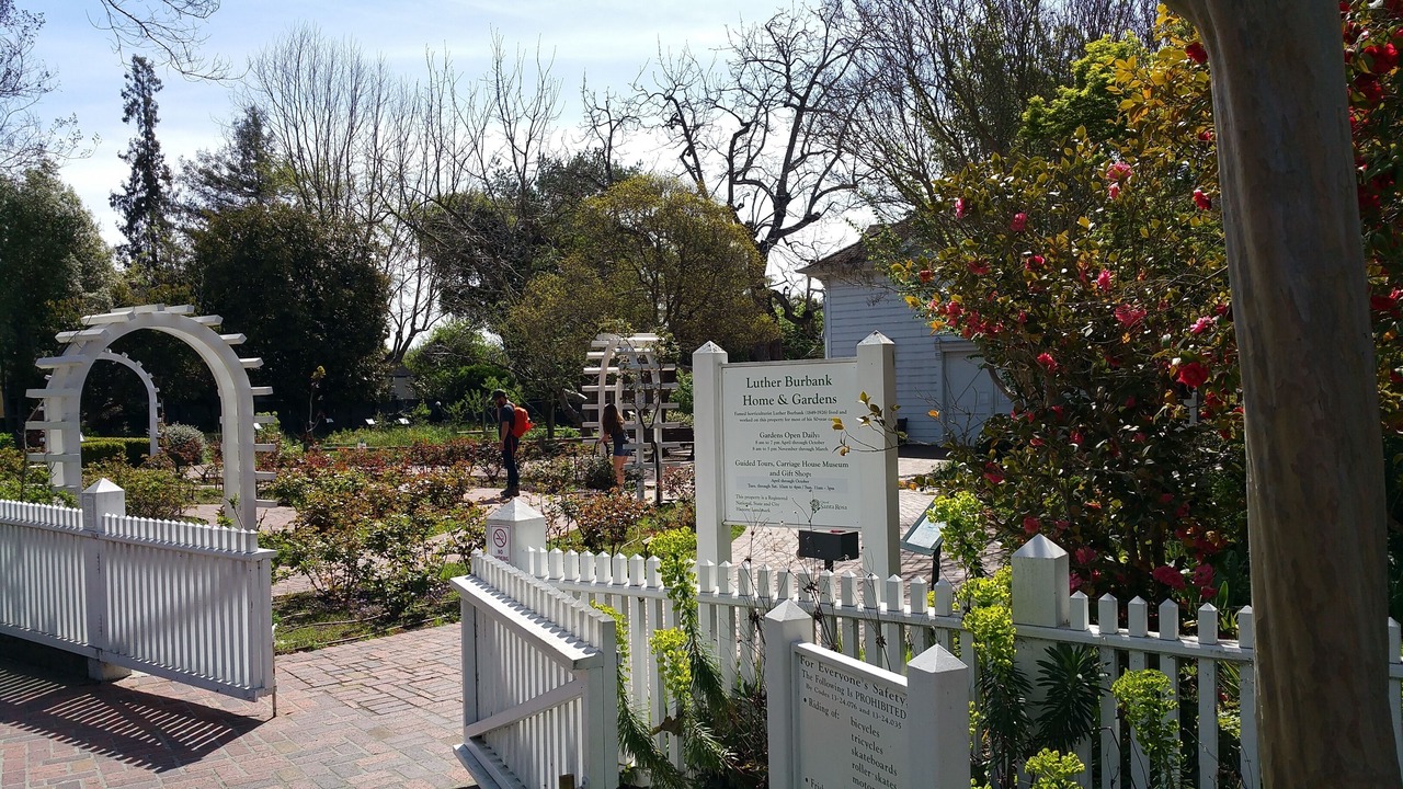 Photo of Others in Burbank Gardens Neighborhood Association
